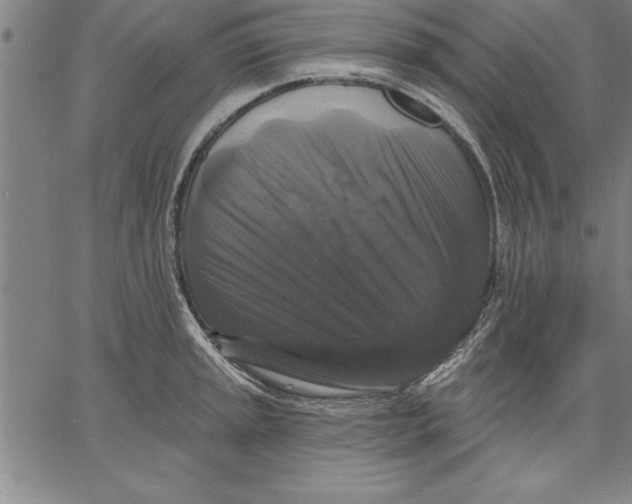X0000066511045200604071522