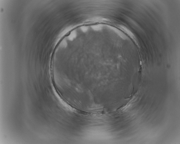 X0000066511055200604071522