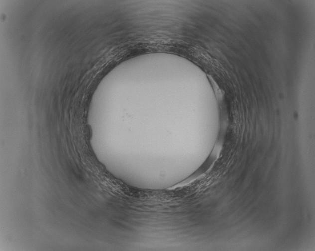 X0000066511057200604071521