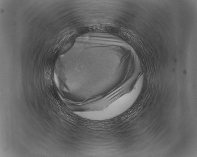X0000066511060200604071521