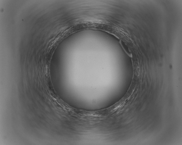 X0000066511061200604071521