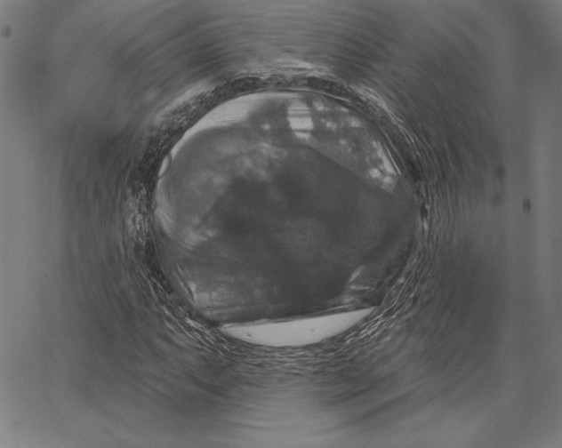 X0000066511063200604071521
