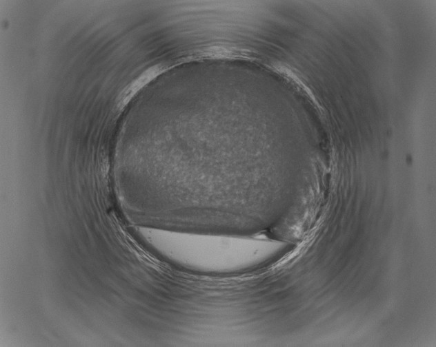X0000066511065200604071521