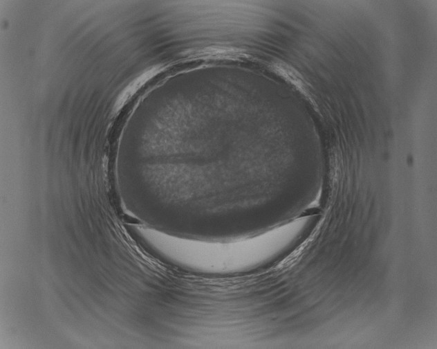 X0000066511066200604071521