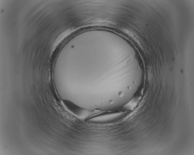 X0000066511069200604071521