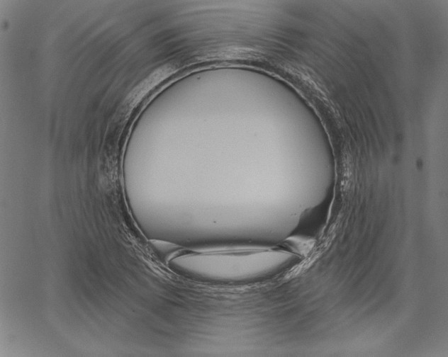 X0000066511073200604071521