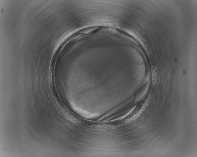 X0000066511077200604071521