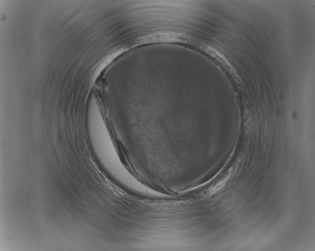 X0000066511081200604071521
