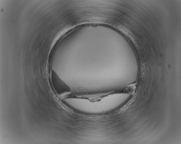 X0000066511085200604071521