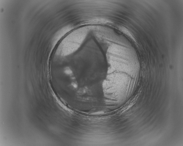 X0000066511087200604071521