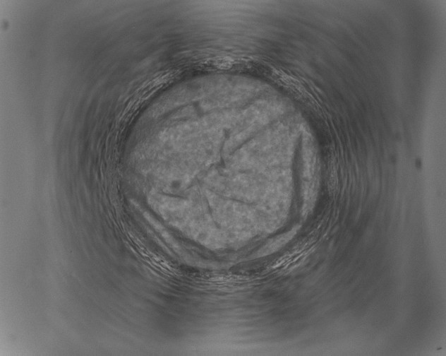 X0000066511105200604071520