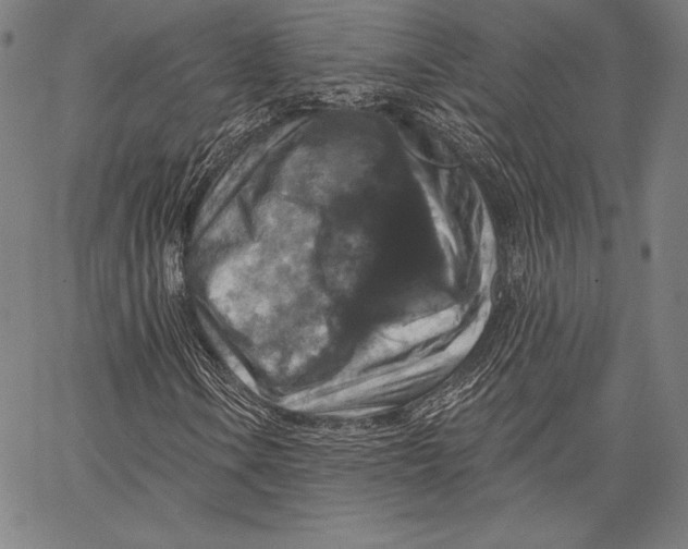 X0000066511106200604071520