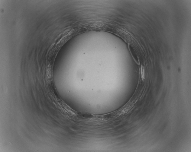 X0000066511107200604071520
