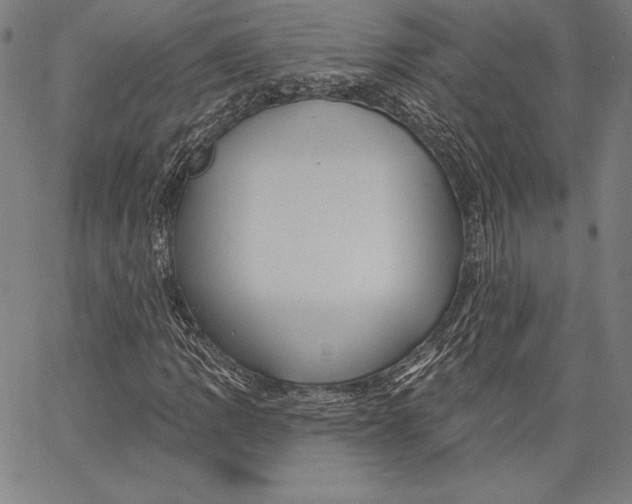 X0000066511109200604071520