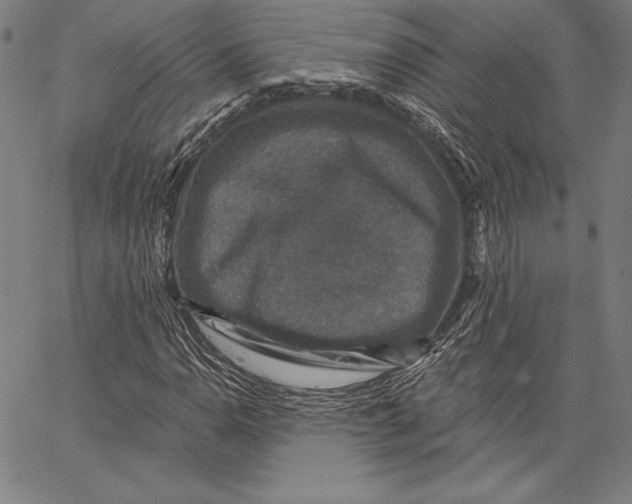 X0000066511110200604071520