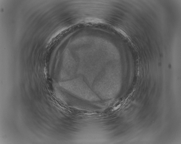 X0000066511112200604071520