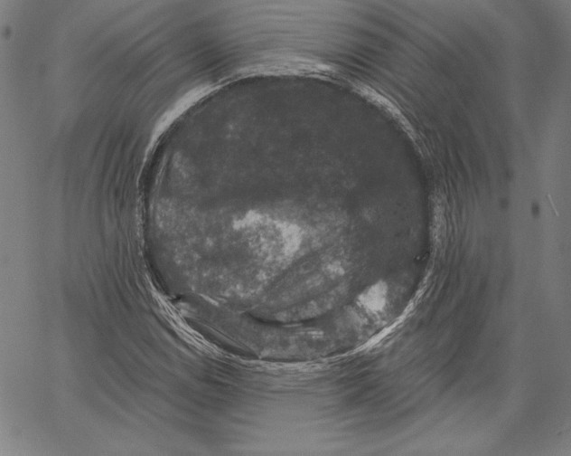 X0000066511114200604071520