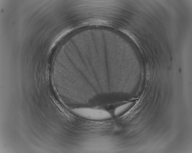X0000066511115200604071520