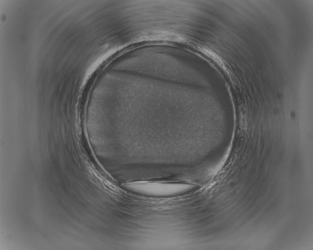 X0000066511120200604071520