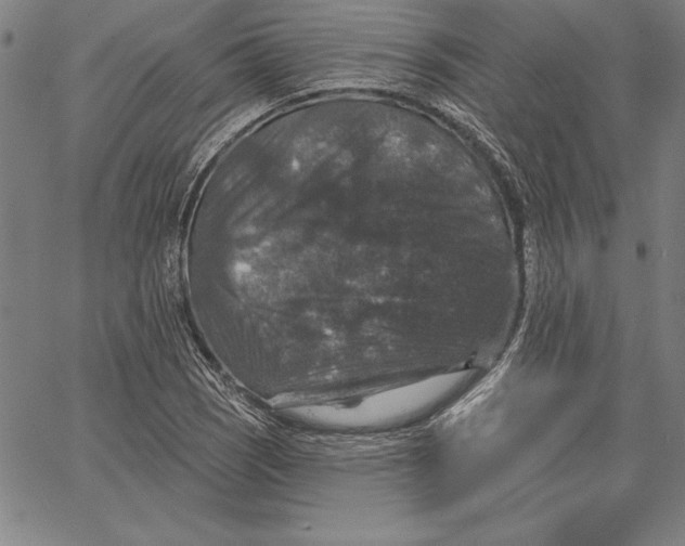 X0000066511121200604071520