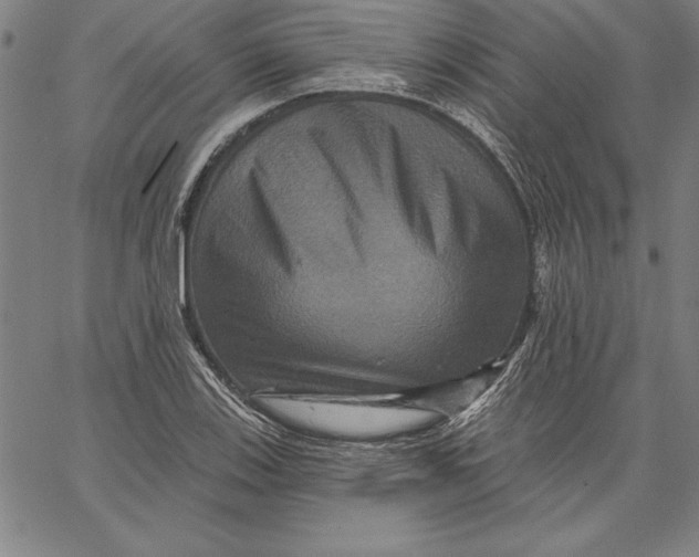 X0000066511123200604071520