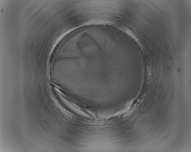 X0000066511124200604071520