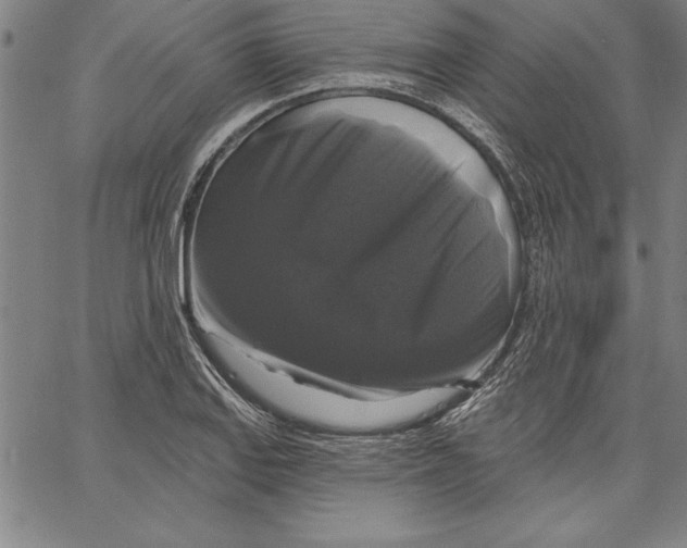 X0000066511127200604071520