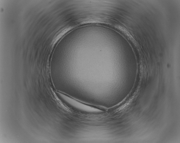 X0000066511129200604071520