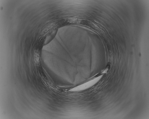 X0000066511154200604071520