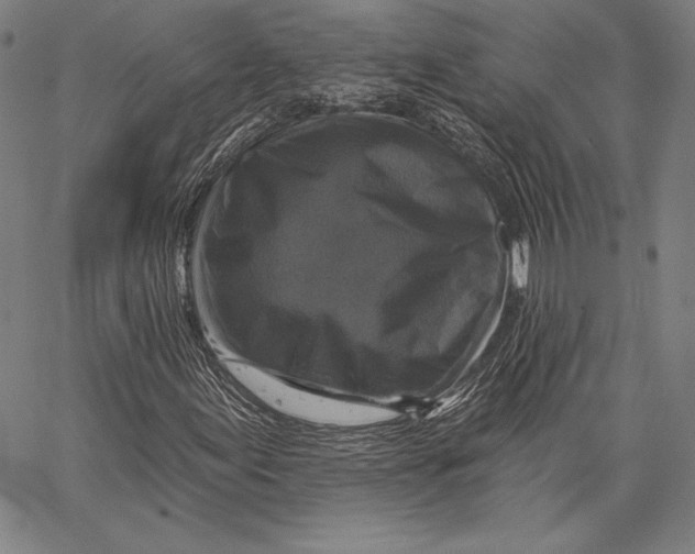 X0000066511155200604071520