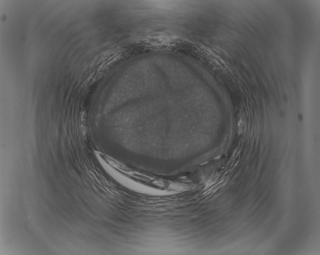 X0000066511156200604071520