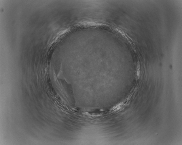 X0000066511157200604071520