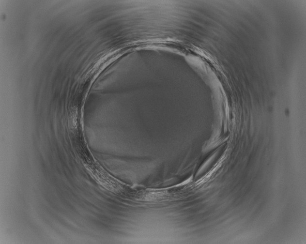 X0000066511161200604071520
