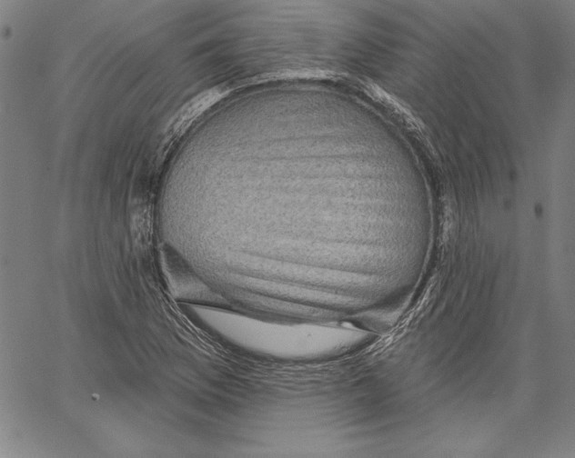 X0000066511169200604071520