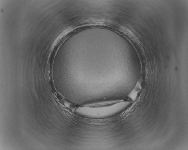 X0000066511172200604071520