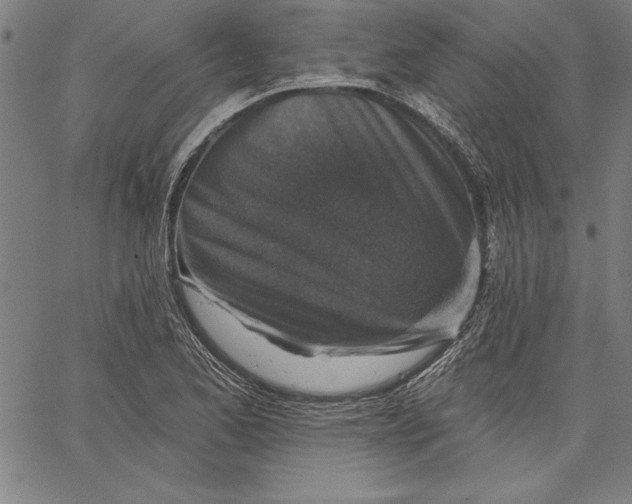 X0000066511173200604071520