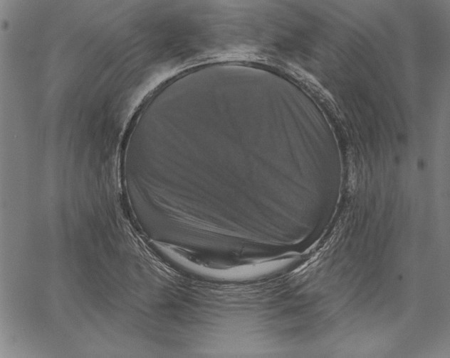 X0000066511174200604071519