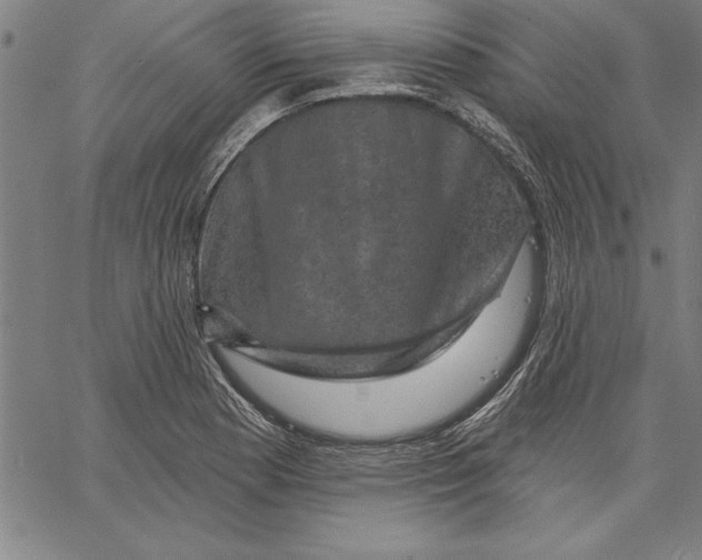 X0000066511177200604071519