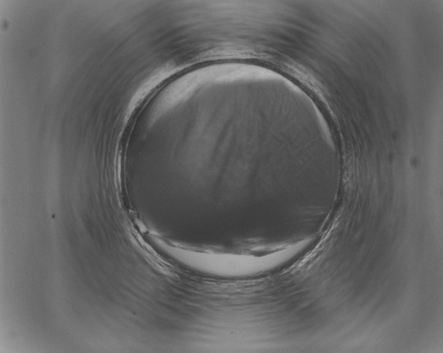 X0000066511179200604071519