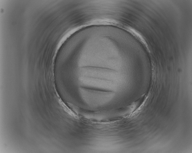 X0000066511192200604071519