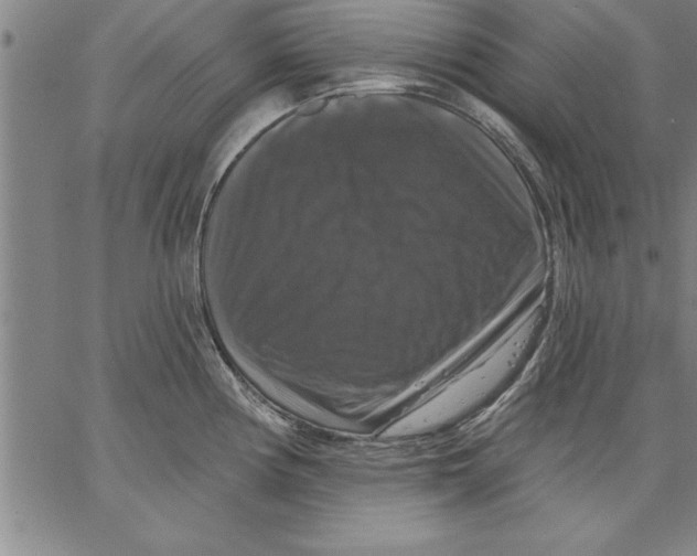X0000066511194200604071519