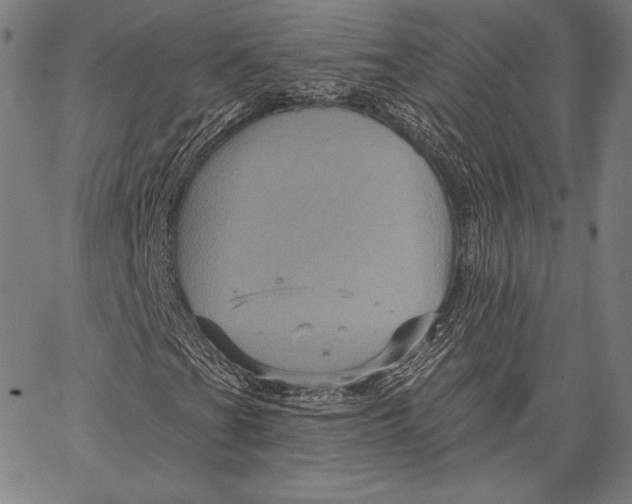 X0000066511201200604071518