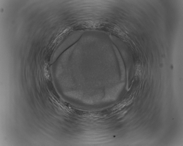 X0000066511202200604071518