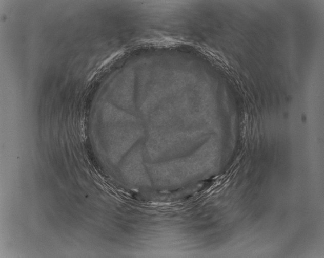X0000066511205200604071518