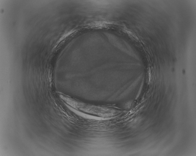 X0000066511206200604071518