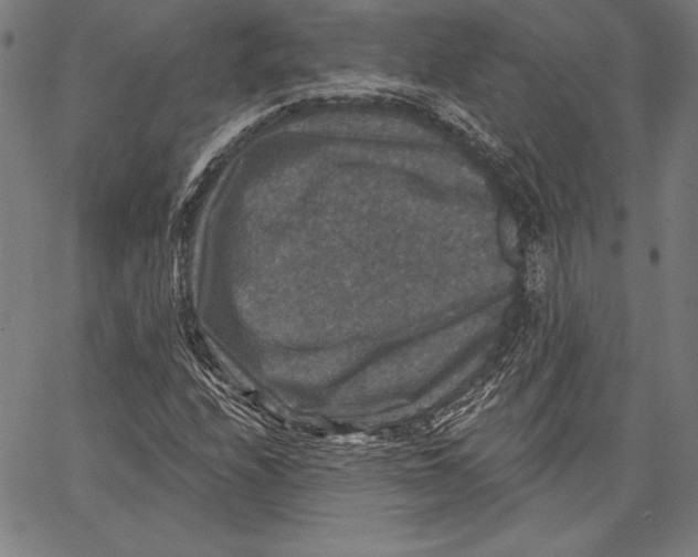 X0000066511208200604071518