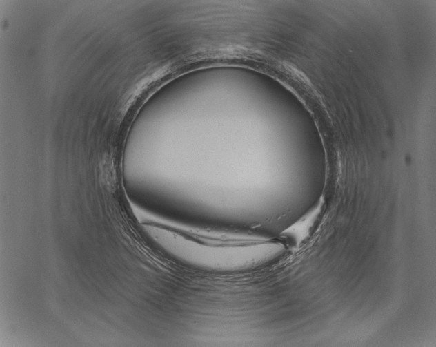 X0000066511218200604071519