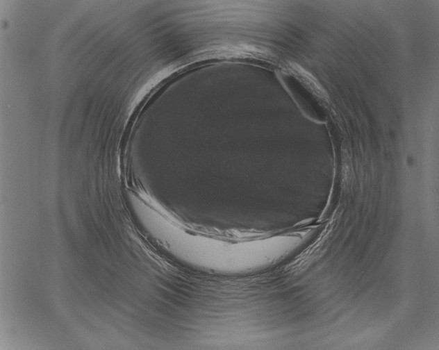 X0000066511226200604071519