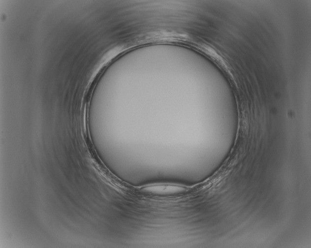 X0000066511227200604071519