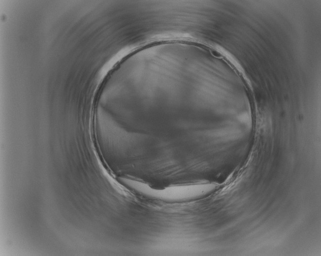 X0000066511245200604071519
